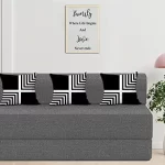 Revolutionize Your Living Space with Dr. Smith Orthopedic Mattress Sofa Cums Bed